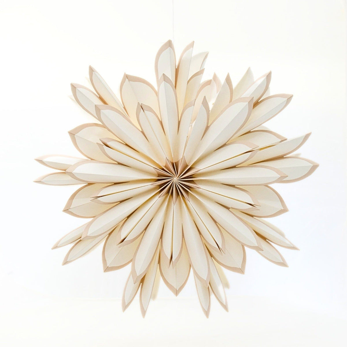 Snowflake / Off-White + Flaxseed Edge