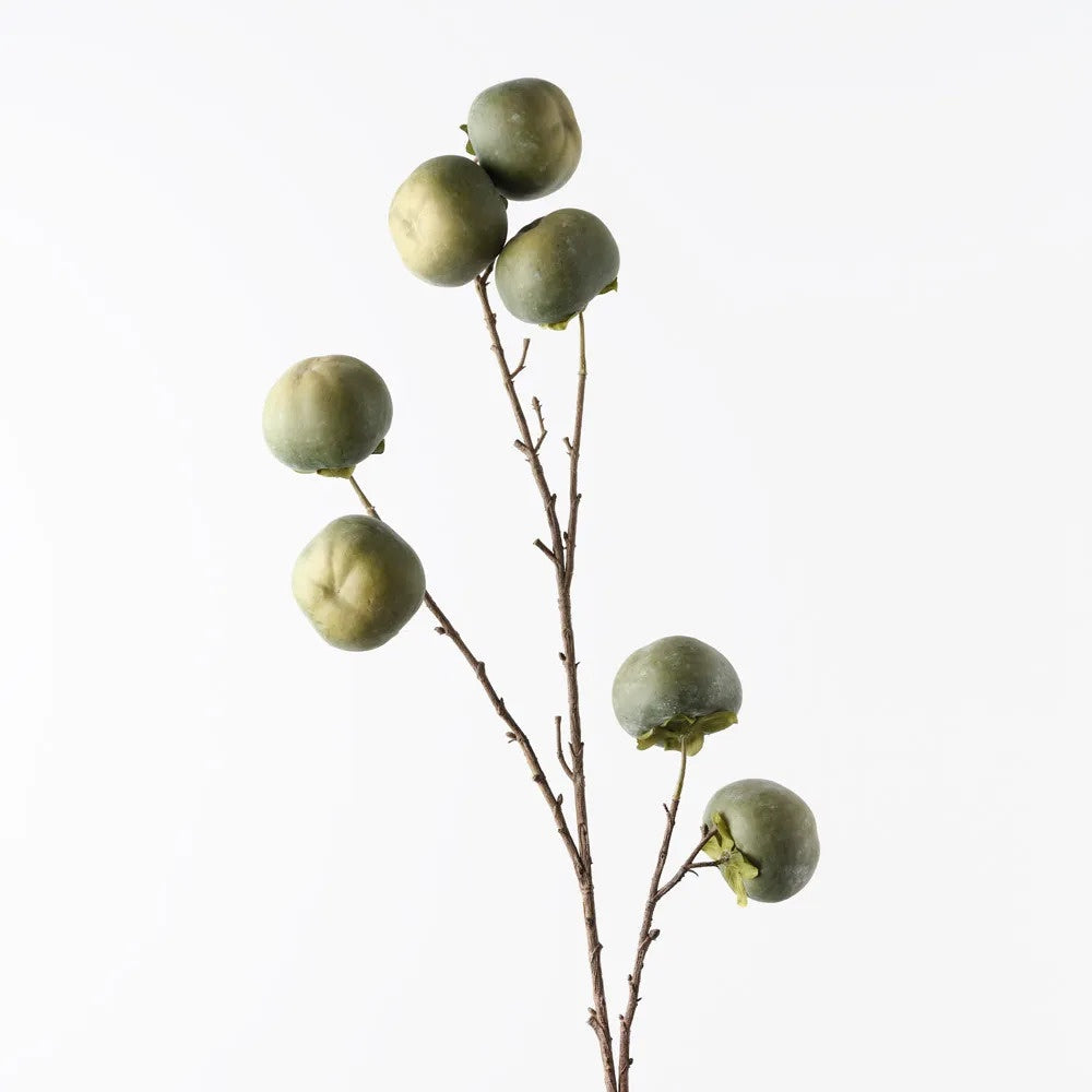 Persimmon Spray