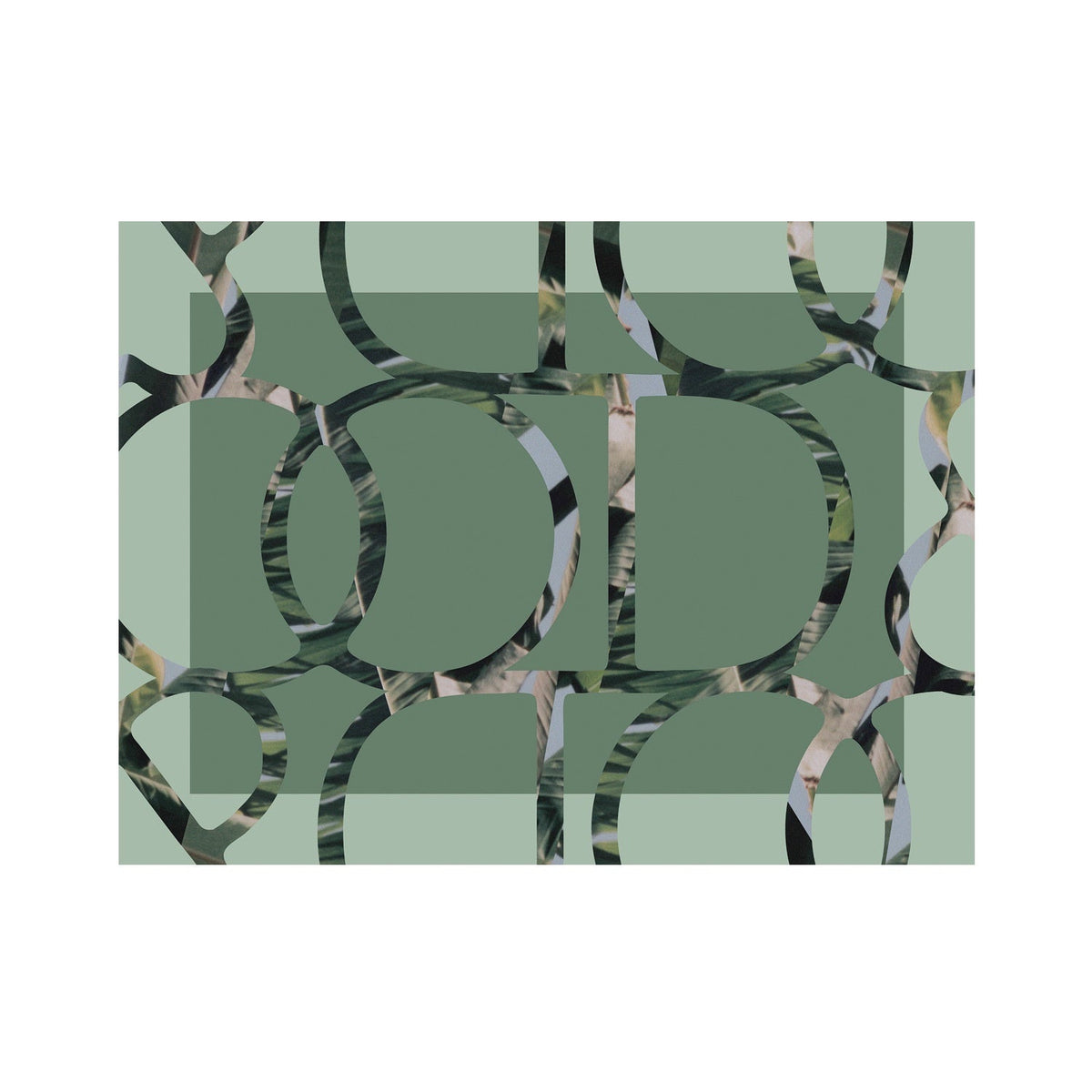 Good & Co / Emerald Canopy / Giant Sarong