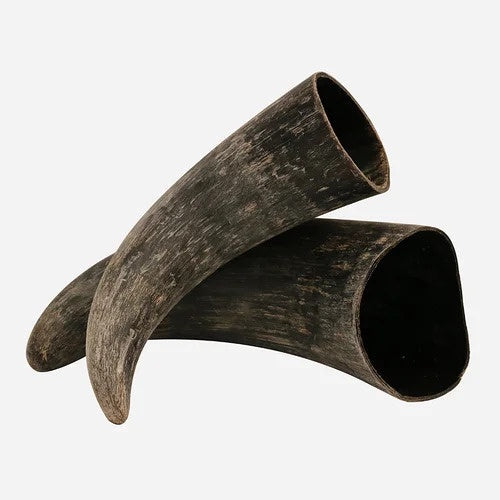 Horn / Natural