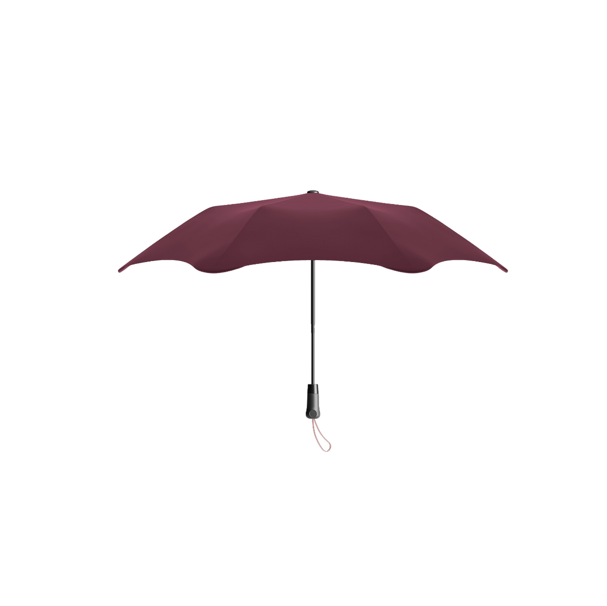 Blunt X Frank Green / Metro Umbrella + Drink Bottle / Plum + Petal