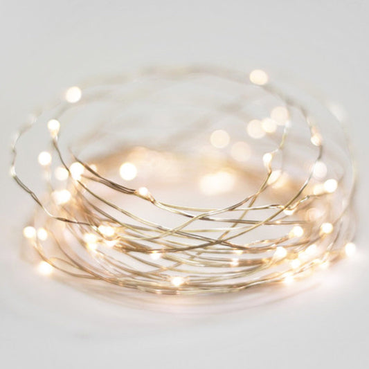 Seed Lights / Plug-In